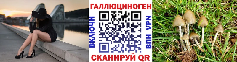 Псилоцибиновые грибы Psilocybe  Хилок 